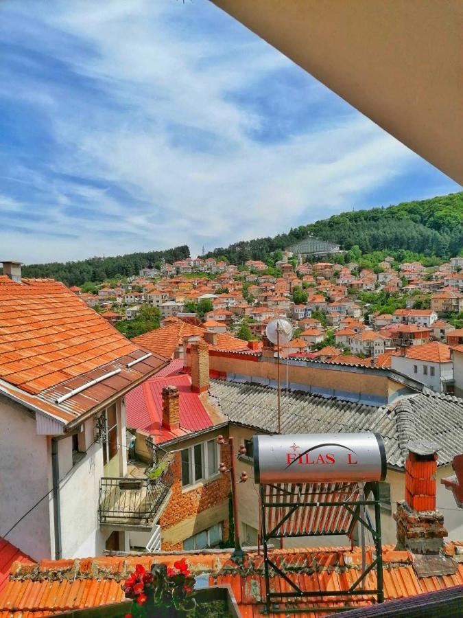 ***Vila Tose D. Kruševo Exteriér fotografie